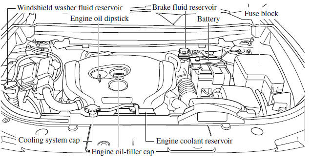 Owner Maintenance