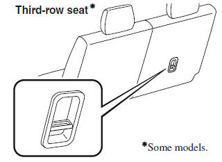 Child Restraint