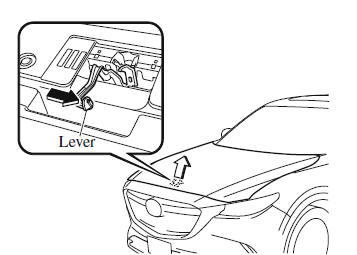 Owner Maintenance