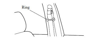 Seat Belt Systems