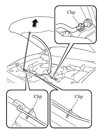 Owner Maintenance